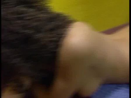 Film Kollektion Von Single Cougars Gonzo Edition