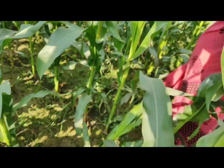 Indian Village Bhabhi Outdoor Vlog genossen mit Brüsten und Fingersätzen, indischer roter Saree entfernen genossen Bhabhi Pregent 