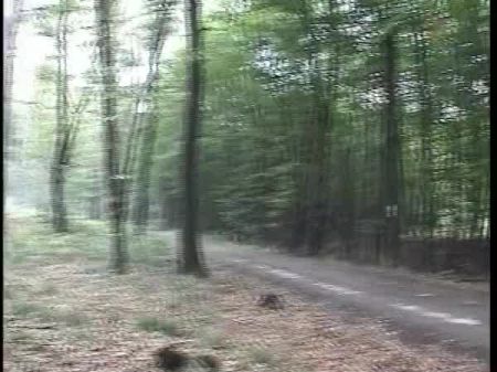 Vintage Retro Deutsch Amateur Ihre Tägliche Dosis Porno 