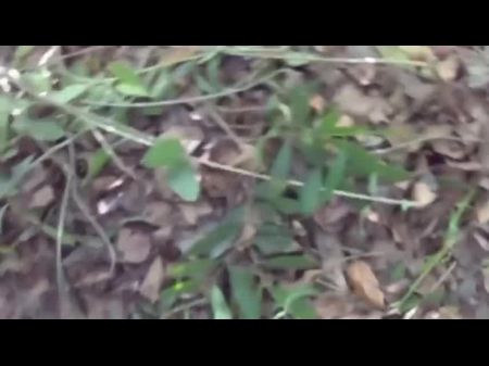 lakdi wali bhabhi ki chudai selva me 