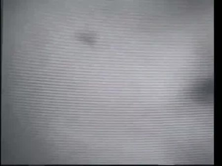 schwarze Schlampen genießen lesbisches Vergnügen 