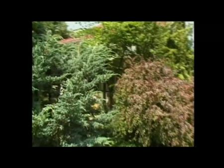 From Germany With Humungous Spear ! Vol . 2 - Vignette 9