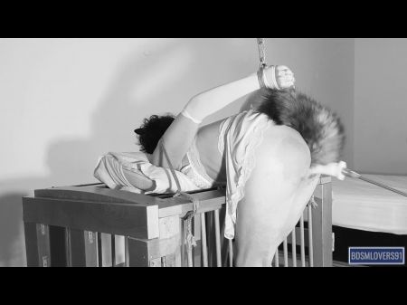 The Kitty And The Bear - Bdsmlovers91