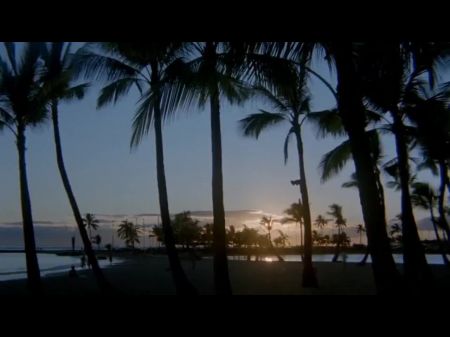 来自夏威夷的东方