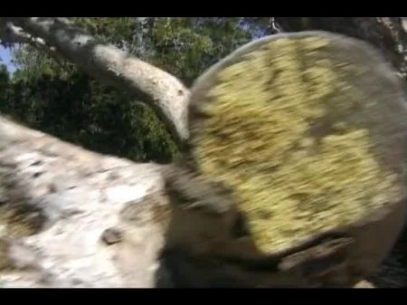 herausragendes deutsches Babe posiert mit ihrem tollen Körper im Freien 