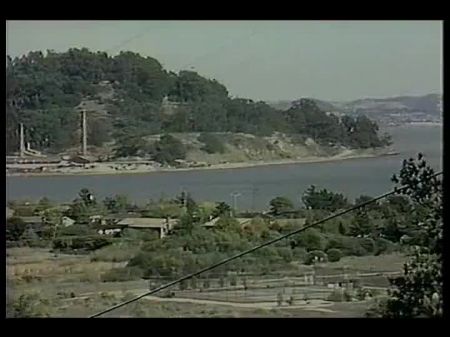 莎娜·麦卡洛 (Shanna McCullough) 的《穿制服的女人》(1986) 
