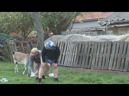 两个辣妹三人行共享一根鸡巴 