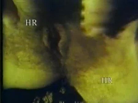 It Uncensored Fledgling Pornography 90s #1