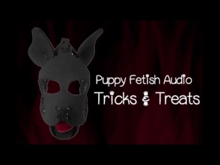 la versión en audio del fetiche del cachorro 