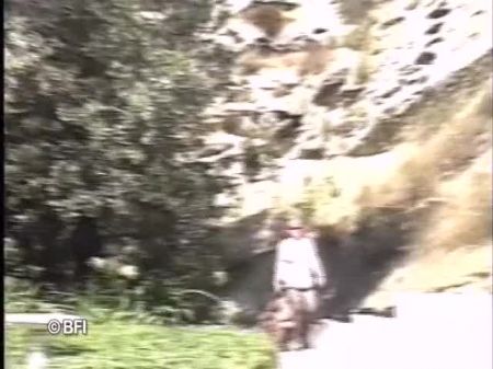 Ginormous Walk