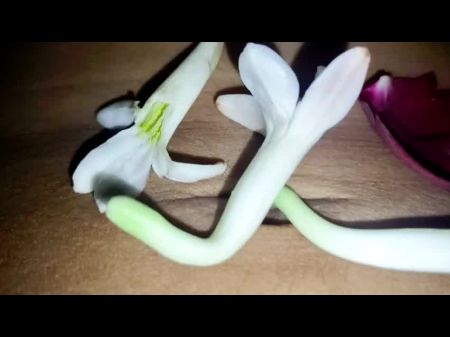Indian Village Couple Anniversary Romantic Orgy