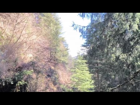 joder en el bosque en la cascada 