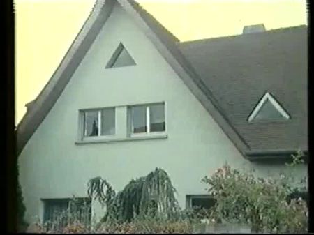 Les Petites Chattes Timides (1983) 