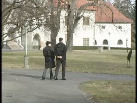 Junge Debutantinnen 25 Prager Sahneschnitte