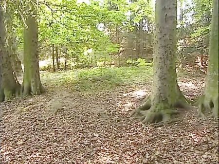 Mmmf - Trio Studs On 1 Excellent Girl In The Woods