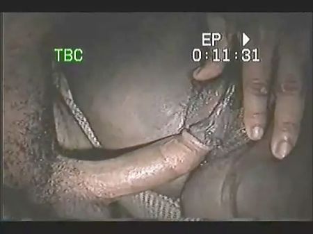 Fat Coco – Mature Playtime