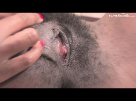 Mega Crampie Fuer Buschige Schwarze Beaver