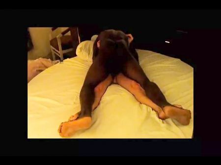 Wife Torn Up By Bbc And Cums Loud And Stiff