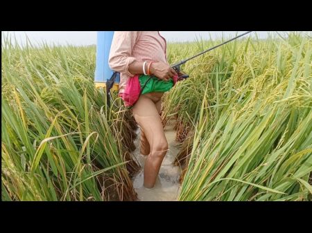village nomita splatter on rice plants bengali audio filthy