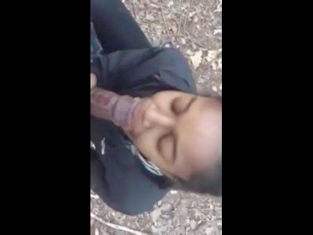 Blowjob In The Forest