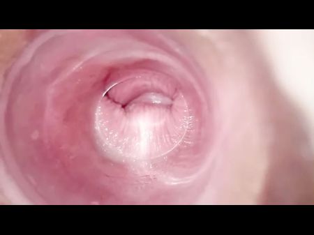 Toying With Clear Buttplug – Cervix View
