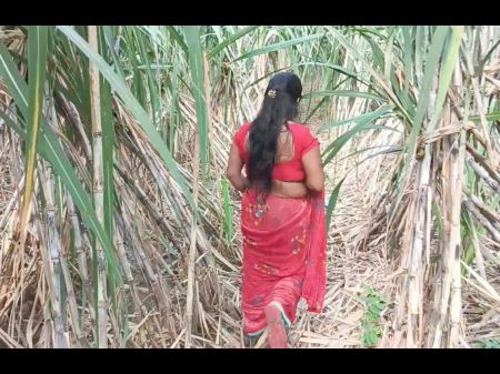 my step mother in sugarcane farming