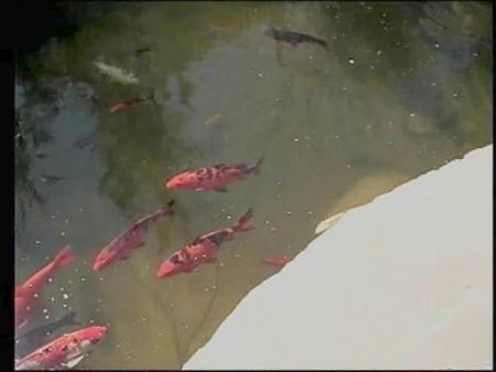 Super-sexy Towheaded Lesbians With Piercings Munch And Finger Each Other