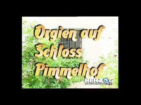 Orgien Auf Schloss Pimmelhof (1990s , German Sound , Full Dvd)