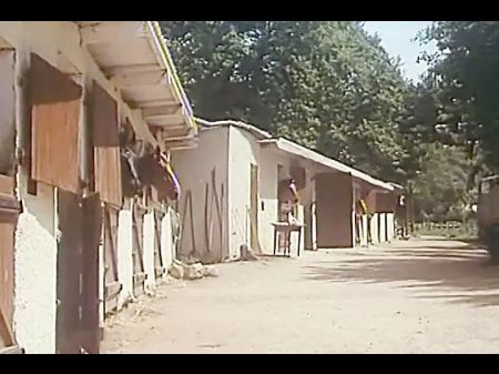 Virginites A Prendre (1981 , France , Utter Film , Dvd Rip)