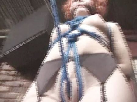 Wtf ! Sadism & Masochism Cougar Indignity
