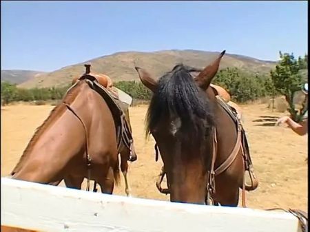 Spectacular Light Haired Cowgirl Gets Her Shaved Cell Packed With A Hard Fuck-stick