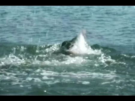 Brilliant French Milf Assfucked On The Beach